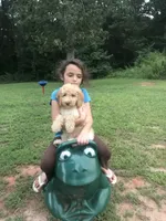 processed/25a083ed-f7ad-4f59-9cd5-8fc9dda61e60/facility/9a42ac8c-5c1c-4629-b619-7ff954d89d6a