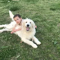 processed/25a083ed-f7ad-4f59-9cd5-8fc9dda61e60/facility/b4a52076-7c35-46fa-bed0-ef59012c065a