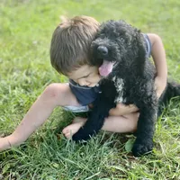 processed/25a083ed-f7ad-4f59-9cd5-8fc9dda61e60/facility/ddb067d8-ad58-417e-90b6-b6e58fc99716