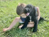 processed/25a083ed-f7ad-4f59-9cd5-8fc9dda61e60/facility/ddb067d8-ad58-417e-90b6-b6e58fc99716