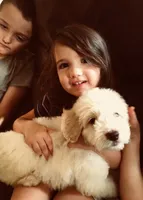 processed/25a083ed-f7ad-4f59-9cd5-8fc9dda61e60/facility/f943e4a8-e200-4b74-a468-76c224385481