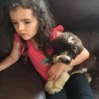 processed/25a083ed-f7ad-4f59-9cd5-8fc9dda61e60/facility/f95564cf-015a-41c8-afda-e0a671d5d701