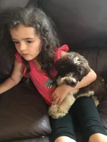 processed/25a083ed-f7ad-4f59-9cd5-8fc9dda61e60/facility/f95564cf-015a-41c8-afda-e0a671d5d701