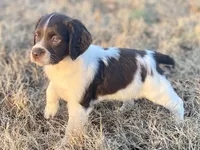 processed/25a083ed-f7ad-4f59-9cd5-8fc9dda61e60/listing/40734f9a-df04-400d-81d6-451c57d92d79/0d92555c-64e5-4e62-a407-7d0419649672