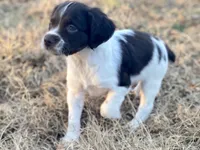 processed/25a083ed-f7ad-4f59-9cd5-8fc9dda61e60/listing/40734f9a-df04-400d-81d6-451c57d92d79/207de08c-a6d2-4053-8096-06c459a30a51