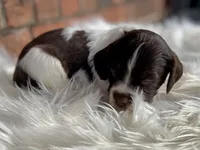 processed/25a083ed-f7ad-4f59-9cd5-8fc9dda61e60/listing/40734f9a-df04-400d-81d6-451c57d92d79/24f7bbcc-e866-4bfc-b5b5-f8dd5b4cc994