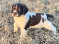 processed/25a083ed-f7ad-4f59-9cd5-8fc9dda61e60/listing/40734f9a-df04-400d-81d6-451c57d92d79/67402697-c82f-45d1-9b2d-f09cf88222be