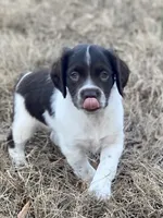 processed/25a083ed-f7ad-4f59-9cd5-8fc9dda61e60/listing/40734f9a-df04-400d-81d6-451c57d92d79/e1ce5ffd-c354-4145-90a0-93573c48d901