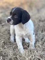 processed/25a083ed-f7ad-4f59-9cd5-8fc9dda61e60/listing/40734f9a-df04-400d-81d6-451c57d92d79/f6d00c84-2a8a-45b3-8314-4d83b75941fe