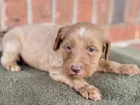 processed/25a083ed-f7ad-4f59-9cd5-8fc9dda61e60/listing/5c734451-07df-470f-9286-5c99860e6e13/00b6fa50-64a3-4a4b-b2c9-be300c6c6712