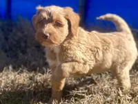 processed/25a083ed-f7ad-4f59-9cd5-8fc9dda61e60/listing/5c734451-07df-470f-9286-5c99860e6e13/0f7b58e2-970c-46fe-bc4d-2273a09942f9