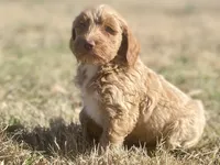 processed/25a083ed-f7ad-4f59-9cd5-8fc9dda61e60/listing/5c734451-07df-470f-9286-5c99860e6e13/14c1088e-6d64-40e9-93aa-85ba5571a8c4