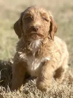 processed/25a083ed-f7ad-4f59-9cd5-8fc9dda61e60/listing/5c734451-07df-470f-9286-5c99860e6e13/21b2d458-a44c-4c24-9bc3-48252113ab1d