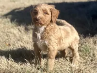 processed/25a083ed-f7ad-4f59-9cd5-8fc9dda61e60/listing/5c734451-07df-470f-9286-5c99860e6e13/2454201e-f3ac-48be-9d6d-e3333c415b00