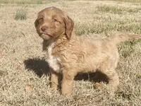 processed/25a083ed-f7ad-4f59-9cd5-8fc9dda61e60/listing/5c734451-07df-470f-9286-5c99860e6e13/28e7c087-e624-49ca-b958-31a8558e08be