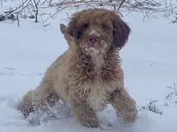 processed/25a083ed-f7ad-4f59-9cd5-8fc9dda61e60/listing/5c734451-07df-470f-9286-5c99860e6e13/4bce2570-d887-4692-9253-0cd84f8fa9f0