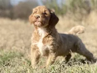 processed/25a083ed-f7ad-4f59-9cd5-8fc9dda61e60/listing/5c734451-07df-470f-9286-5c99860e6e13/688435f4-5525-4cc3-aaf5-9d2f396648ef