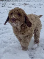 processed/25a083ed-f7ad-4f59-9cd5-8fc9dda61e60/listing/5c734451-07df-470f-9286-5c99860e6e13/f2f52b37-aa71-4578-b6e0-987c912c0003