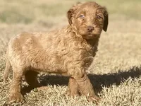 processed/25a083ed-f7ad-4f59-9cd5-8fc9dda61e60/listing/5c76fae3-8a07-4121-afdc-cdf4925262f5/1bc7c859-e3dd-4f22-ab34-c11248b339ed