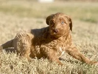 processed/25a083ed-f7ad-4f59-9cd5-8fc9dda61e60/listing/5c76fae3-8a07-4121-afdc-cdf4925262f5/69959958-3581-4f70-8fd6-03c6ec821fcb