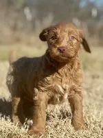 processed/25a083ed-f7ad-4f59-9cd5-8fc9dda61e60/listing/5c76fae3-8a07-4121-afdc-cdf4925262f5/c9c3fb4f-f266-48e6-b769-f2f3a7932909