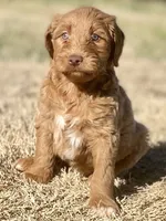 processed/25a083ed-f7ad-4f59-9cd5-8fc9dda61e60/listing/5c76fae3-8a07-4121-afdc-cdf4925262f5/dc196410-dcbd-4d7f-b065-231a3be9733e