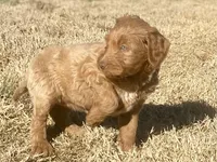 processed/25a083ed-f7ad-4f59-9cd5-8fc9dda61e60/listing/5c76fae3-8a07-4121-afdc-cdf4925262f5/e13049f1-95eb-4989-a4bb-f74aae8b2b4a