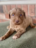 processed/25a083ed-f7ad-4f59-9cd5-8fc9dda61e60/listing/5c76fae3-8a07-4121-afdc-cdf4925262f5/e4e2f7d6-7c6a-4d48-b7fa-52f9dc1e8efc