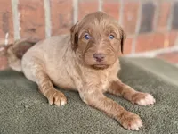 processed/25a083ed-f7ad-4f59-9cd5-8fc9dda61e60/listing/5c76fae3-8a07-4121-afdc-cdf4925262f5/ed73b7eb-5352-417b-9d39-93674b832f0d