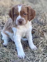 processed/25a083ed-f7ad-4f59-9cd5-8fc9dda61e60/listing/a00c2881-caa2-45b7-9cf1-8b606c390def/06394285-8db6-49ce-96c0-e0bbd22ee16d