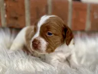 processed/25a083ed-f7ad-4f59-9cd5-8fc9dda61e60/listing/a00c2881-caa2-45b7-9cf1-8b606c390def/0d3d685b-895d-468d-9428-0a617a23fc91