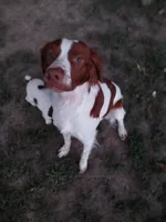 processed/25a083ed-f7ad-4f59-9cd5-8fc9dda61e60/listing/a00c2881-caa2-45b7-9cf1-8b606c390def/1005de4c-16f2-4677-95e3-f2216ba09384