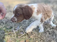 processed/25a083ed-f7ad-4f59-9cd5-8fc9dda61e60/listing/a00c2881-caa2-45b7-9cf1-8b606c390def/2b349d51-50ef-48bb-91e5-39b1128e8bef