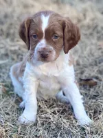 processed/25a083ed-f7ad-4f59-9cd5-8fc9dda61e60/listing/a00c2881-caa2-45b7-9cf1-8b606c390def/2f2dfddd-fa5b-4421-a93b-458ccfaf010c