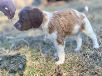 processed/25a083ed-f7ad-4f59-9cd5-8fc9dda61e60/listing/a00c2881-caa2-45b7-9cf1-8b606c390def/68280491-66c5-44ba-8624-541a19e5537d