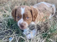 processed/25a083ed-f7ad-4f59-9cd5-8fc9dda61e60/listing/a00c2881-caa2-45b7-9cf1-8b606c390def/6f0b321b-9077-4d7d-b259-9d7805a6be2f