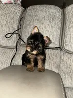 processed/25b59439-6e37-4254-b6d5-573ca47bebb7/listing/0abd8979-3299-48b3-9030-a13a431cc678/1129d242-7954-4845-b4e7-d6b91ed7821d