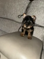 processed/25b59439-6e37-4254-b6d5-573ca47bebb7/listing/0abd8979-3299-48b3-9030-a13a431cc678/12393f94-de3d-4a90-a02e-f55634b8fe7c