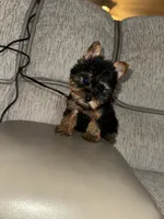 processed/25b59439-6e37-4254-b6d5-573ca47bebb7/listing/0abd8979-3299-48b3-9030-a13a431cc678/218b40ca-817f-4b64-8efe-456d9493a73e