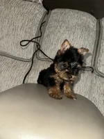 processed/25b59439-6e37-4254-b6d5-573ca47bebb7/listing/0abd8979-3299-48b3-9030-a13a431cc678/4ad8f2b9-bd5c-4f05-8743-3b8cde758a85