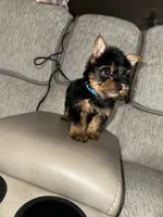 processed/25b59439-6e37-4254-b6d5-573ca47bebb7/listing/0abd8979-3299-48b3-9030-a13a431cc678/7db7c6ed-0fd1-4364-86cf-46b27bf4a762