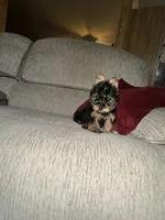 processed/25b59439-6e37-4254-b6d5-573ca47bebb7/listing/0abd8979-3299-48b3-9030-a13a431cc678/ba03531f-b63f-4cca-843a-068df4128b9a