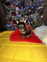 processed/25b59439-6e37-4254-b6d5-573ca47bebb7/listing/1f4f34e3-e736-4f2b-993c-8bb6f02d3765/3243e7a1-8fca-4536-a425-a8f9edaee502