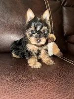 processed/25b59439-6e37-4254-b6d5-573ca47bebb7/listing/1f4f34e3-e736-4f2b-993c-8bb6f02d3765/3a8ff05b-de20-4d74-97a0-803535e08738