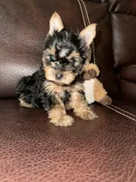 processed/25b59439-6e37-4254-b6d5-573ca47bebb7/listing/1f4f34e3-e736-4f2b-993c-8bb6f02d3765/53c1bb81-dab5-47f4-af9b-61952f3dbc45