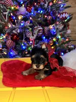 processed/25b59439-6e37-4254-b6d5-573ca47bebb7/listing/1f4f34e3-e736-4f2b-993c-8bb6f02d3765/a2b8a2d6-bee9-4a0c-8179-b2c0c1deb1b7