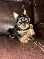 processed/25b59439-6e37-4254-b6d5-573ca47bebb7/listing/1f4f34e3-e736-4f2b-993c-8bb6f02d3765/aa1ab8c0-efd6-44e1-9f5c-493d61195217