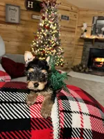 processed/25b59439-6e37-4254-b6d5-573ca47bebb7/listing/f53c6444-bba4-4a1e-a94f-32ea427180e2/16d2fa59-08f3-4c05-94d4-a0295d4ad6b8