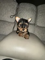 processed/25b59439-6e37-4254-b6d5-573ca47bebb7/listing/f53c6444-bba4-4a1e-a94f-32ea427180e2/1b2458f9-a81f-479c-9496-a16c2b794598