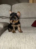 processed/25b59439-6e37-4254-b6d5-573ca47bebb7/listing/f53c6444-bba4-4a1e-a94f-32ea427180e2/1e138adf-0a2c-4dfd-9f89-dffdf8ba28bd